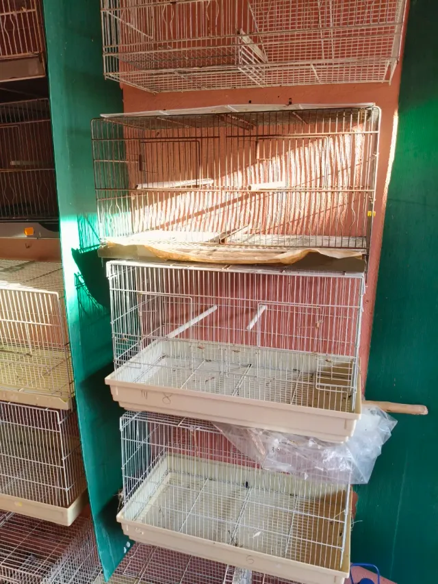 Jaulas para pájaros cada una a 10€