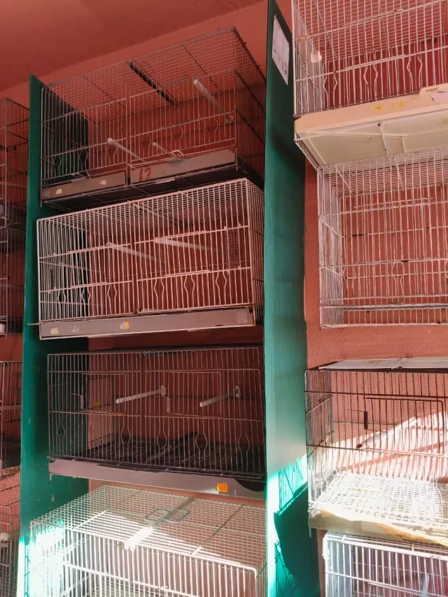 Jaulas para pájaros cada una a 10€