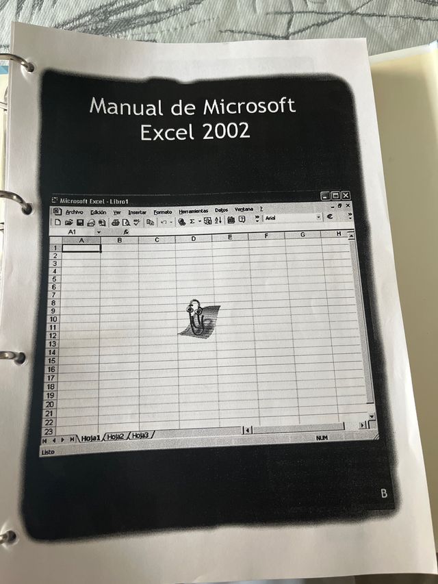 Manual Microsoft Excel 2002