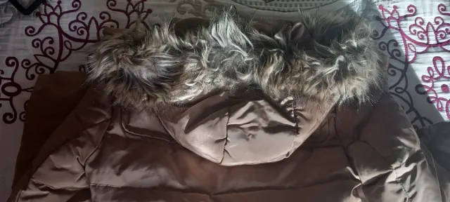 Abrigo Pepe Jeans Marrón Talla XS