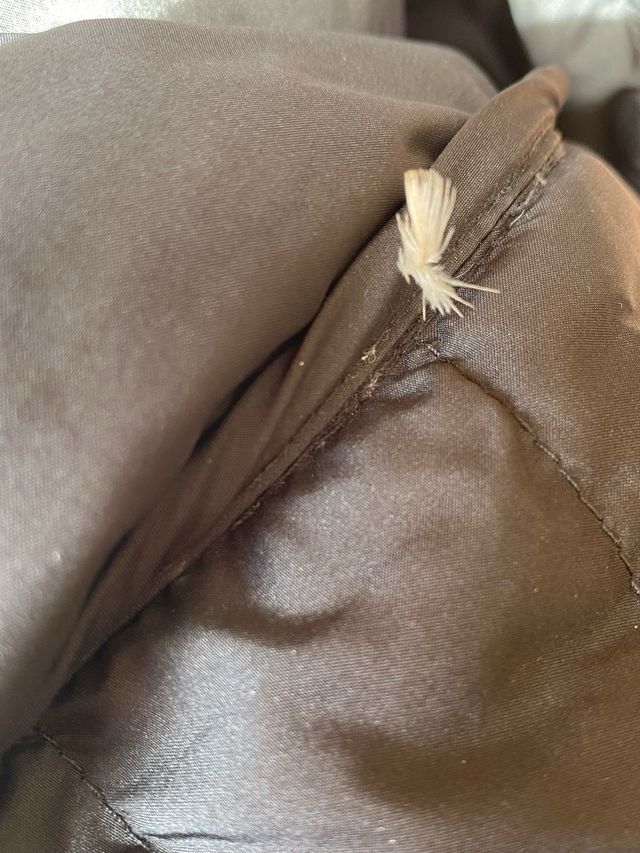 The North Face Chaleco Negro Talla S