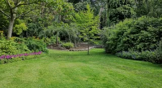 Podas, desbroces y fumigaciones