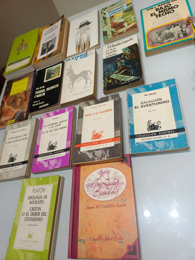 Libros colección Austral y otros libros