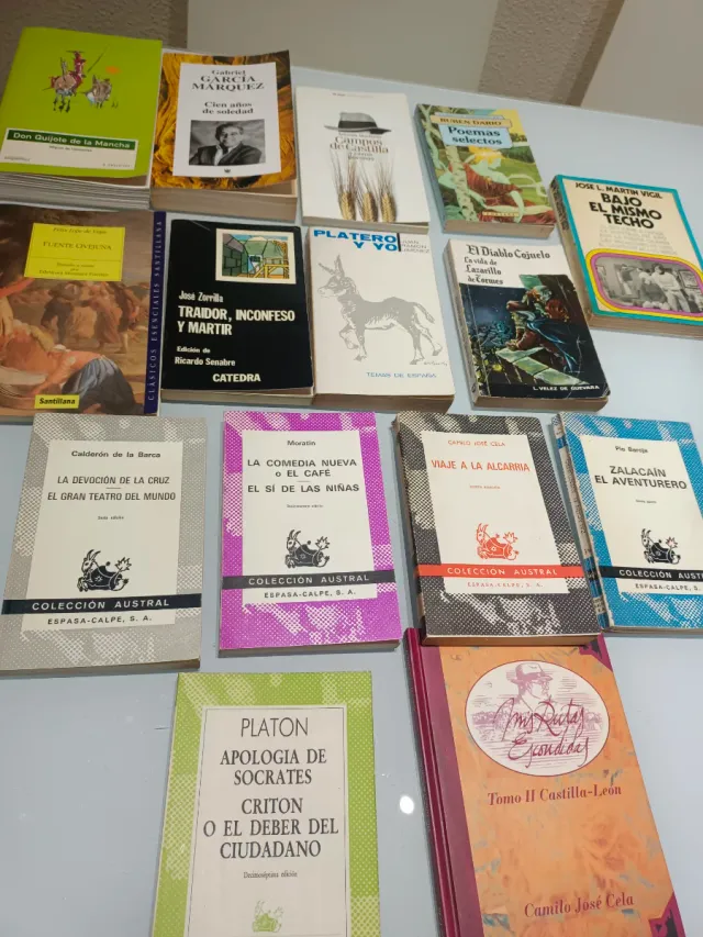 Libros colección Austral y otros libros