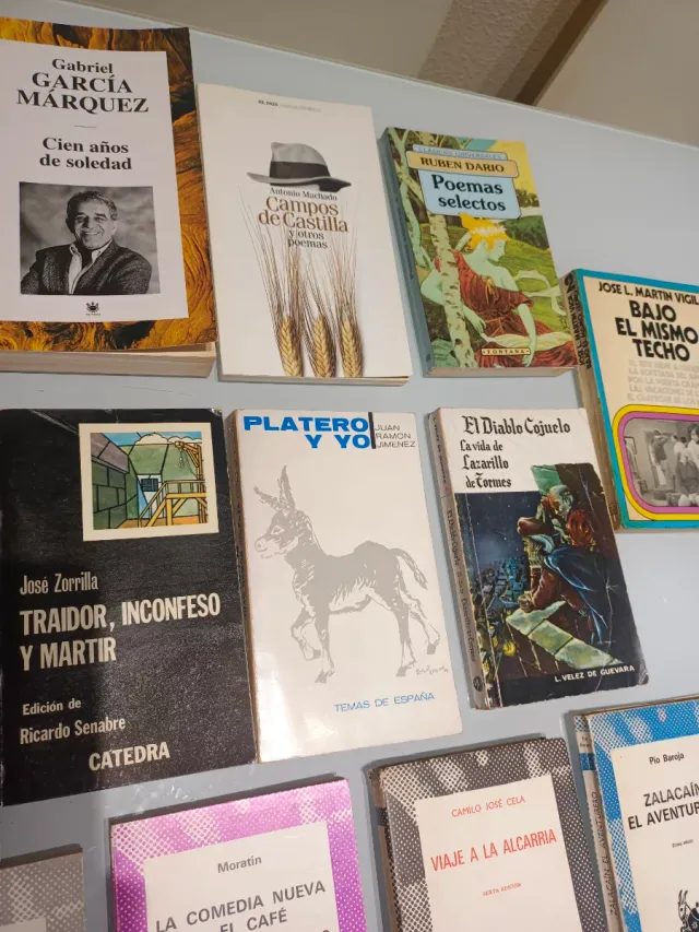 Libros colección Austral y otros libros