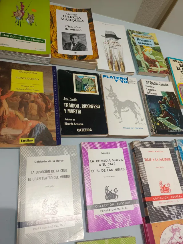 Libros colección Austral y otros libros
