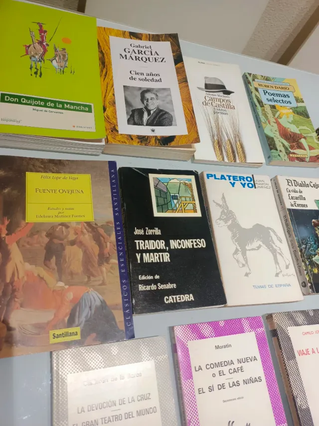 Libros colección Austral y otros libros
