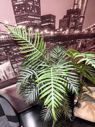 Plantas artificiales decorativas