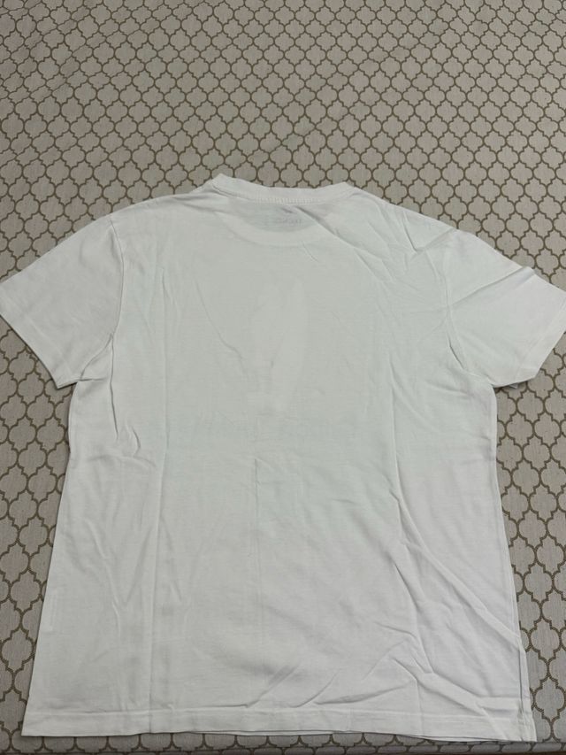 Pack 3 Camisetas Teckel Talla M