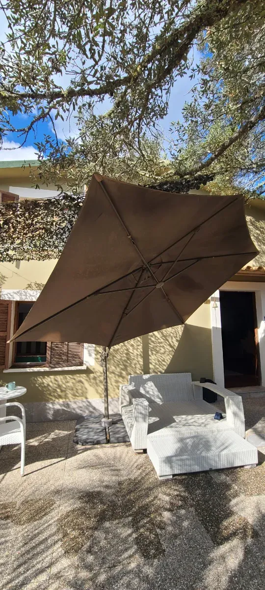 Parasol excéntrico marrón