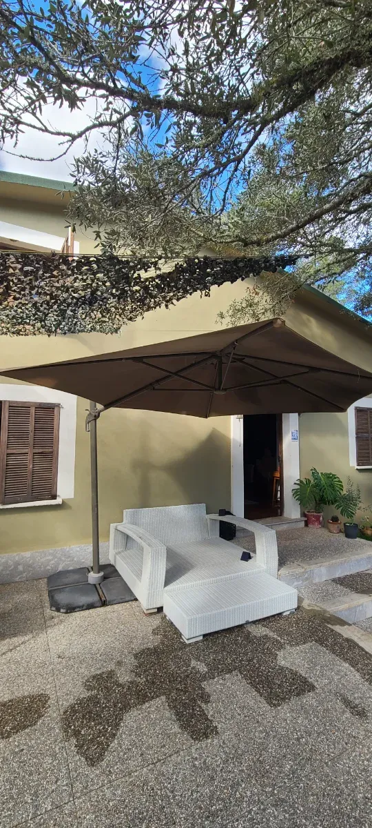 Parasol excéntrico marrón