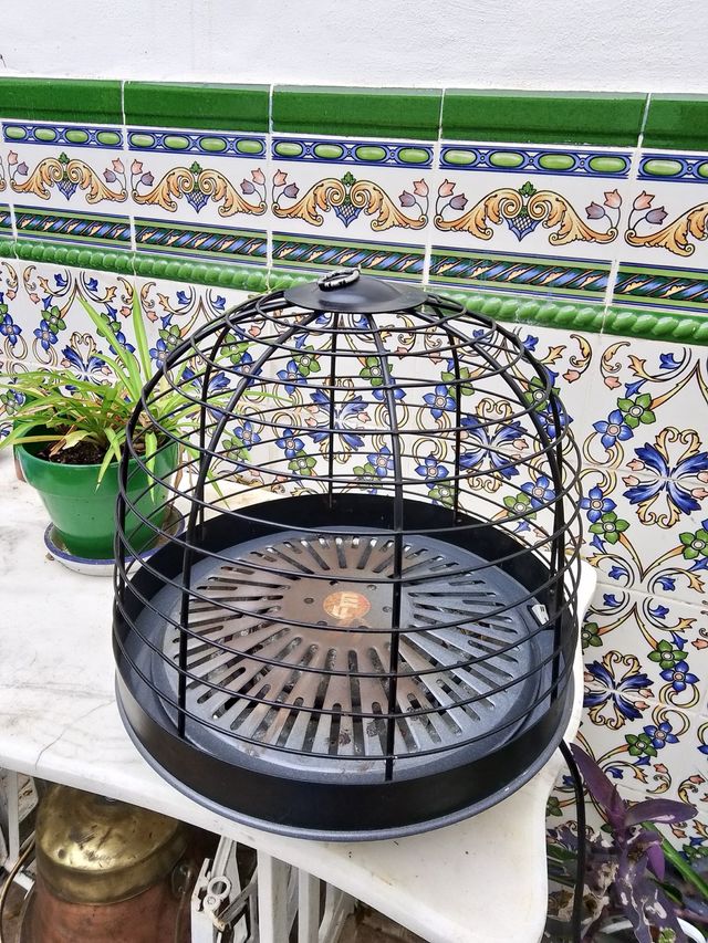 Brasero eléctrico con protector