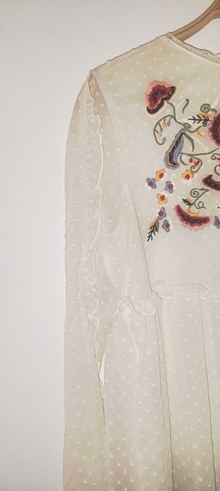 "Blusa Zara plumetí bordada"