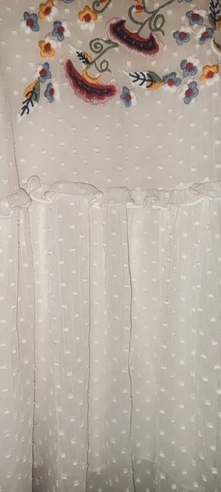 "Blusa Zara plumetí bordada"