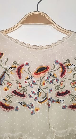 "Blusa Zara plumetí bordada"
