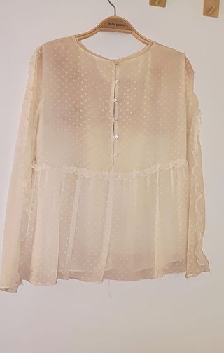 "Blusa Zara plumetí bordada"