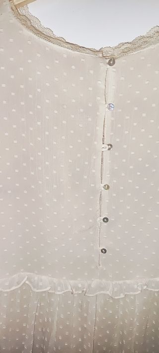 "Blusa Zara plumetí bordada"