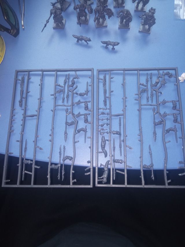 20 Bárbaros Alianza del Norte Kings of War