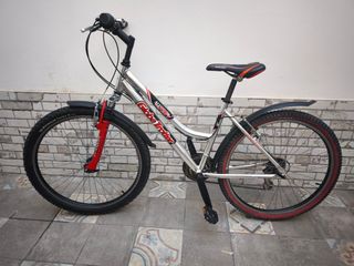 Bicicleta Montaña 26"(2).