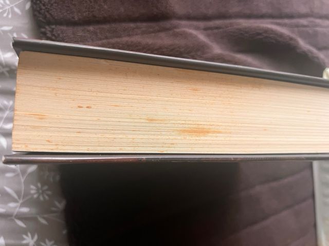 Africanus. El hijo del cónsul (Trilogía African...