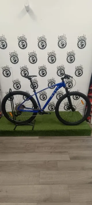 Bicicleta Rali Aluminio 1x10