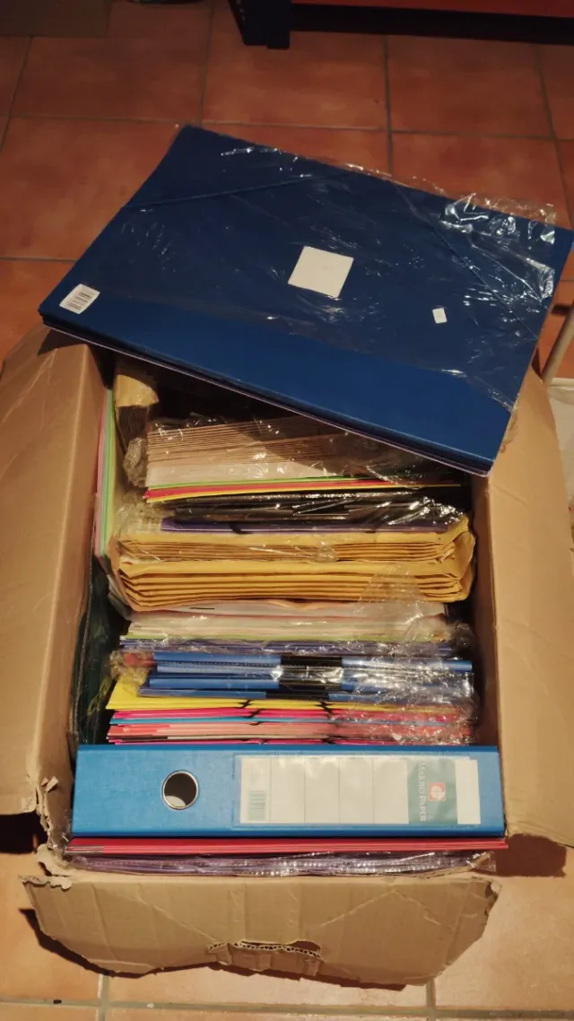 Lote de 100 Dossiers Transparentes Grafoplás