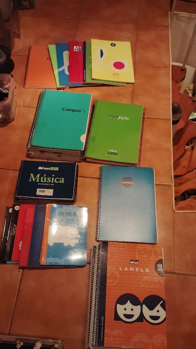 Lote de 100 Dossiers Transparentes Grafoplás