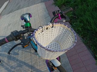 Bicicleta niña de 20 pulgadas para 6 a 9 años