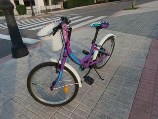 Bicicleta niña de 20 pulgadas para 6 a 9 años