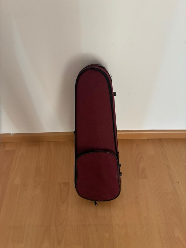 Violín con funda y arco