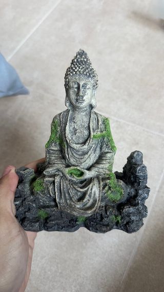 Accessori per Acquario