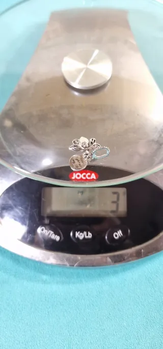 CHARM Plata 925 Luz Brillante de FANTASÍA