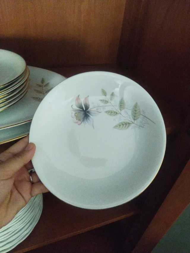 Juego de platos de porcelana con borde dorado