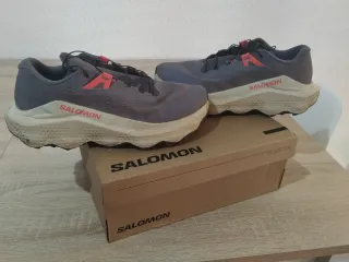 Zapatilla Salomon Ultraglide 3