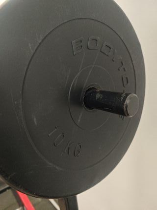 Discos de gimnasio 10 kg