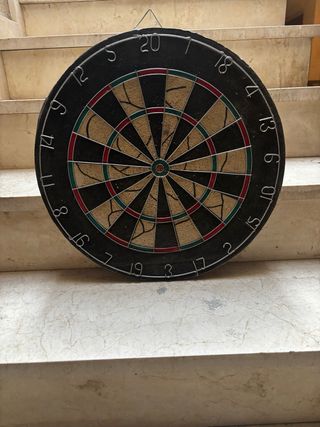 Diana de dardos profesional no envíos