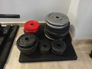 Discos de gimnasio 80 kg