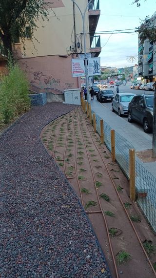 Instalación Riego Automático