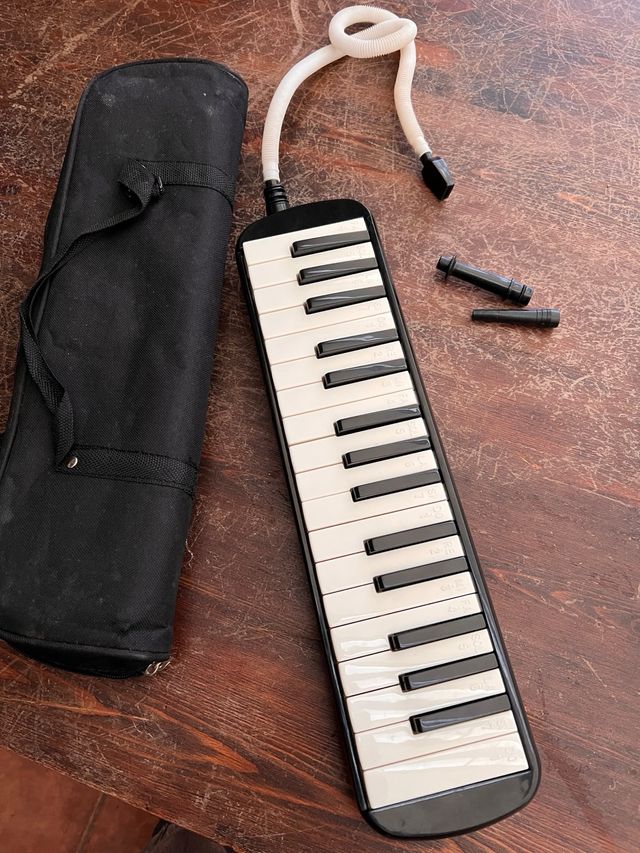 Melódica Piano de Viento pro+ Funda