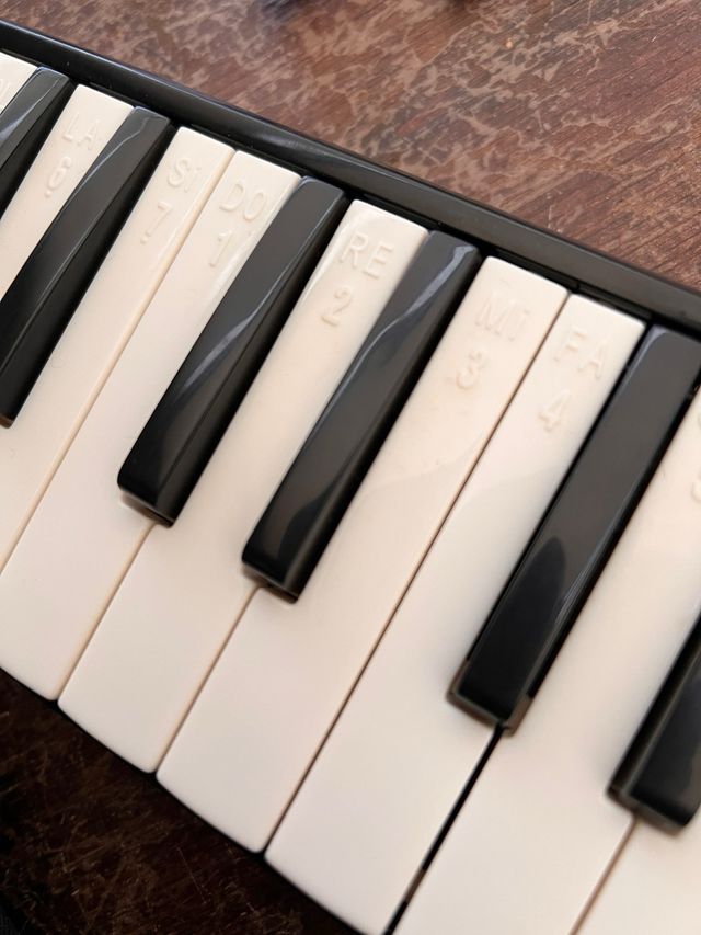 Melódica Piano de Viento pro+ Funda