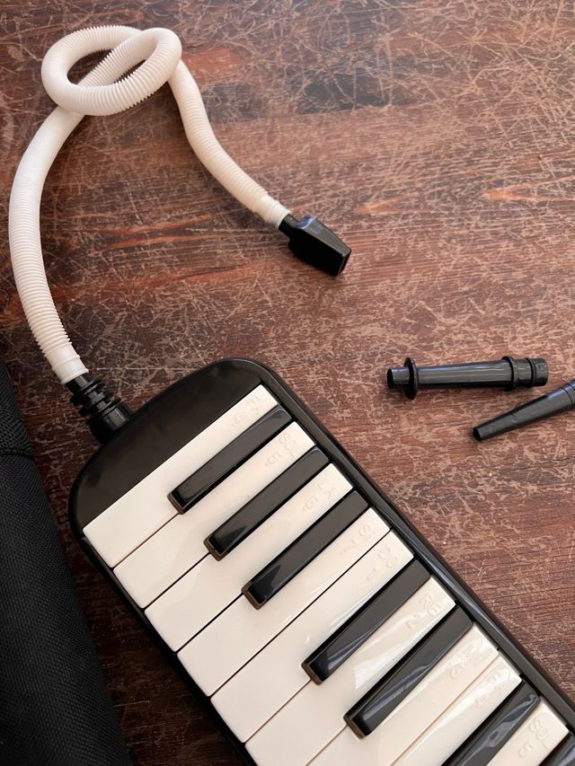 Melódica Piano de Viento pro+ Funda