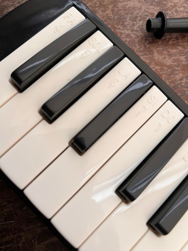 Melódica Piano de Viento pro+ Funda