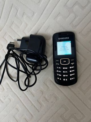 Samsung GT-E1080W Telefono Cellulare
