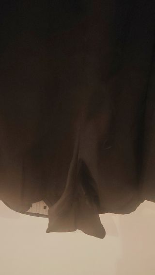 Vestido Zara bordado plumetí negro .