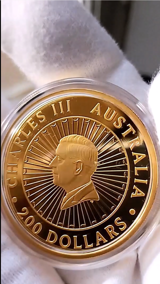 Moneda de oro (pieza de colección de alta gama)