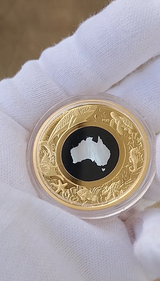 Moneda de oro (pieza de colección de alta gama)