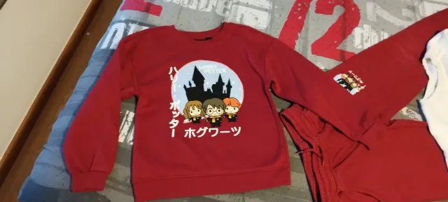 Chándal Harry Potter