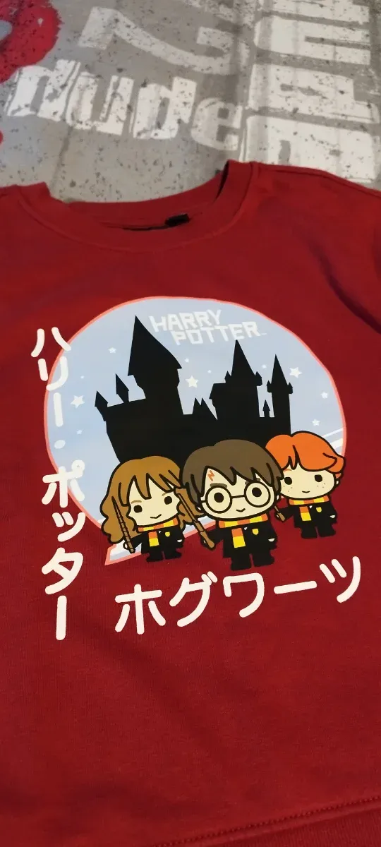 Chándal Harry Potter