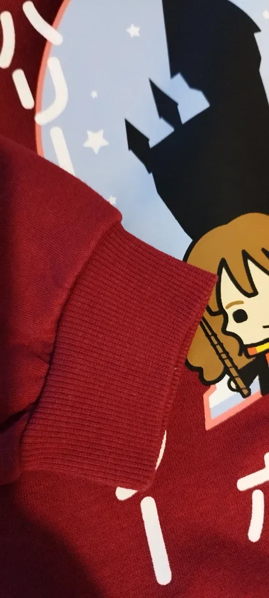 Chándal Harry Potter