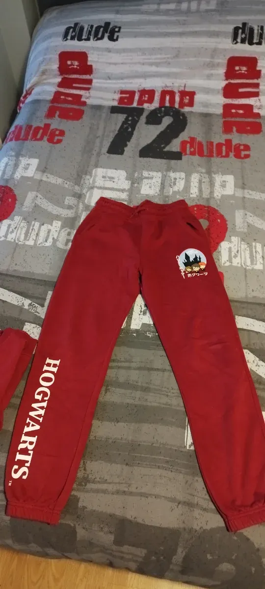 Chándal Harry Potter